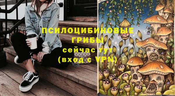 spice Алексеевка