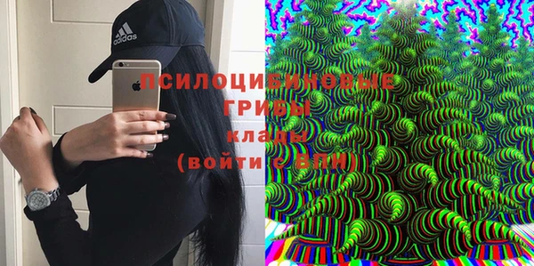 экстази Алексин