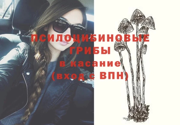 экстази Алексин