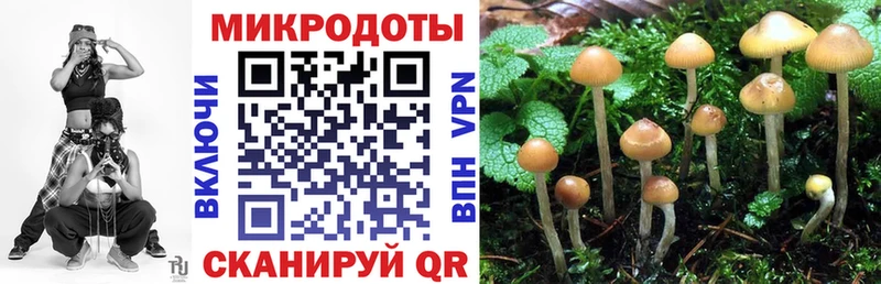 Галлюциногенные грибы Cubensis  KRAKEN ССЫЛКА  Алексеевка  дарнет шоп 